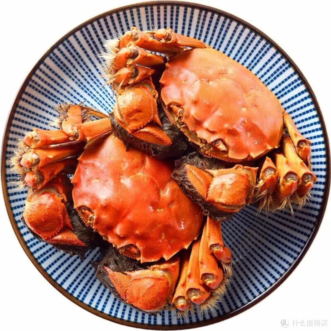 秋天的第一口蟹 你吃了吗﻿