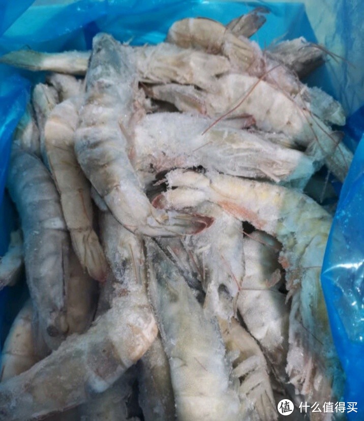 鲜京采 厄瓜多尔白虾1.5kg/盒 加大号20-30规格 盐冻大虾