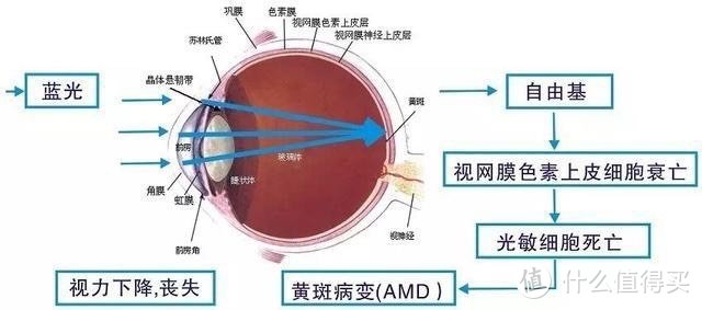 防蓝光眼镜：保护儿童视力的利器！一文了解一下如何挑选吧