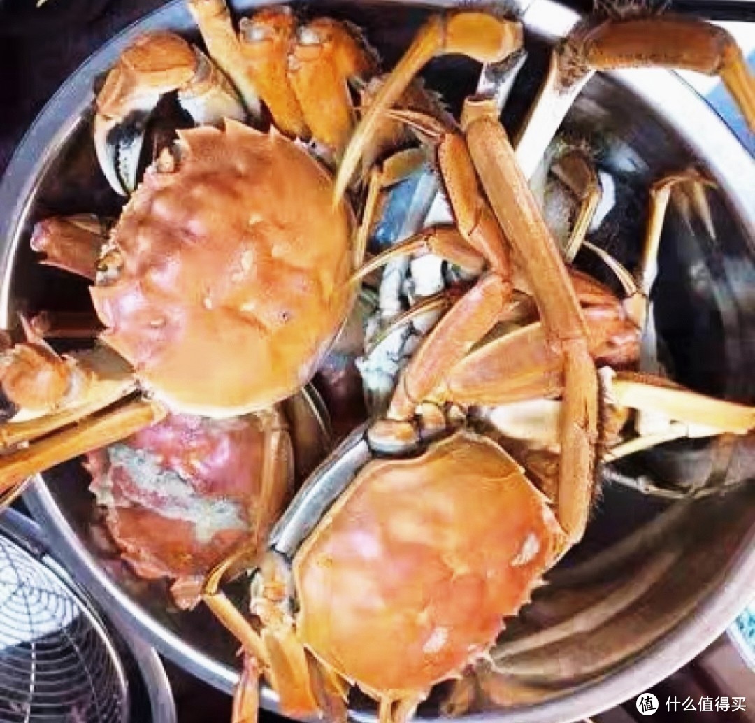 九月吃蟹囖？大闸蟹的肥美和食用时的欢乐场景，让我们吃得更尽兴喔。