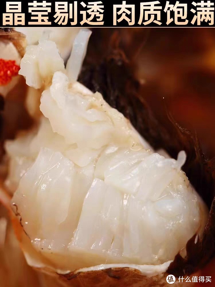 九月的大闸蟹绝对是你不容错过的美味！