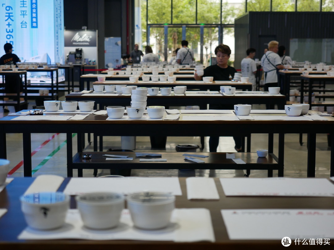 全球最大咖啡品鉴，我来啦！齐聚上海共同绘制云南咖啡风味地图