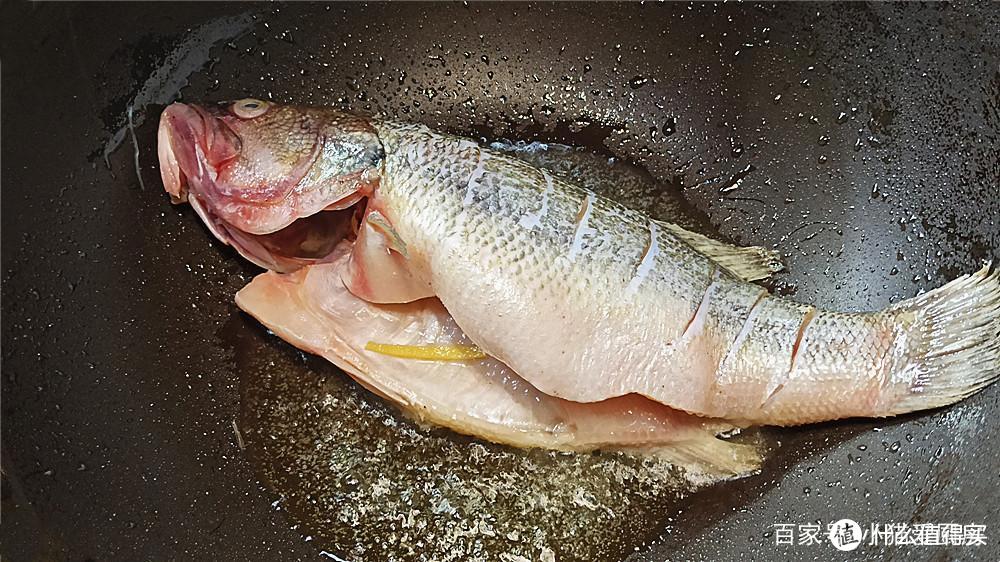 美食篇☞“红烧鲈鱼”