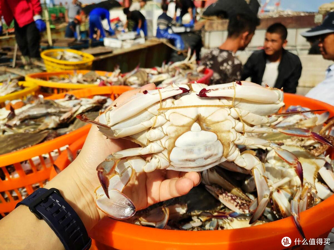 中秋节买螃蟹，这6个地方产的螃蟹又大又便宜，别只盯着阳澄湖了