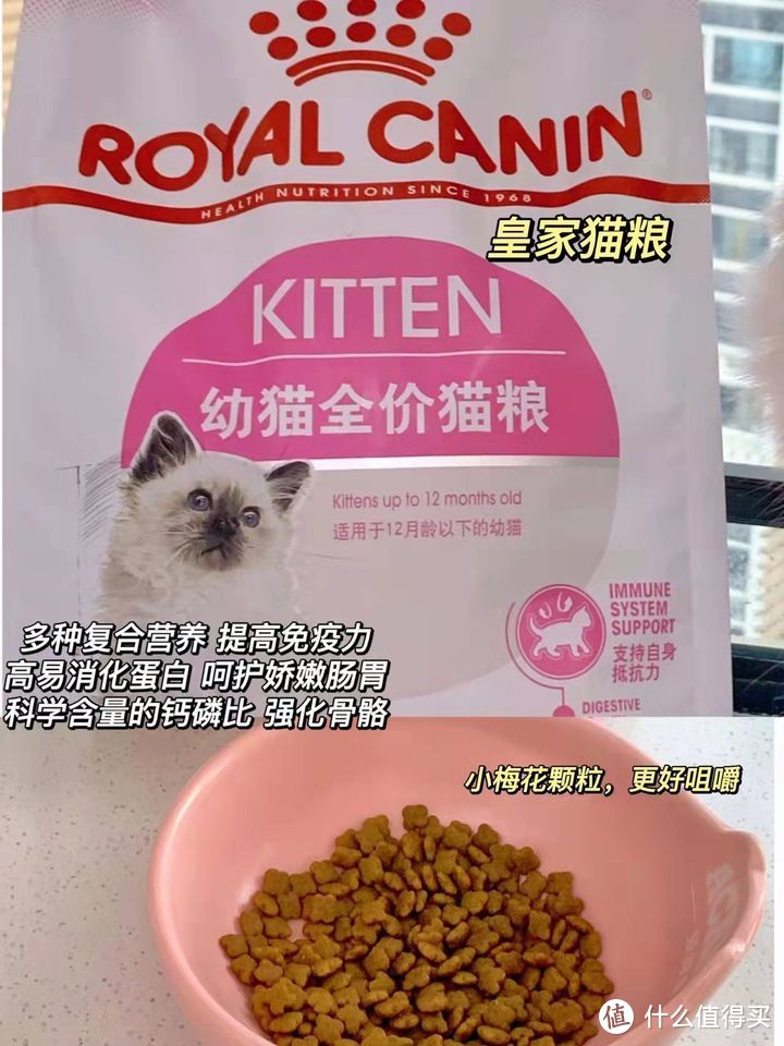 有哪些性价比高的良心猫粮推荐？