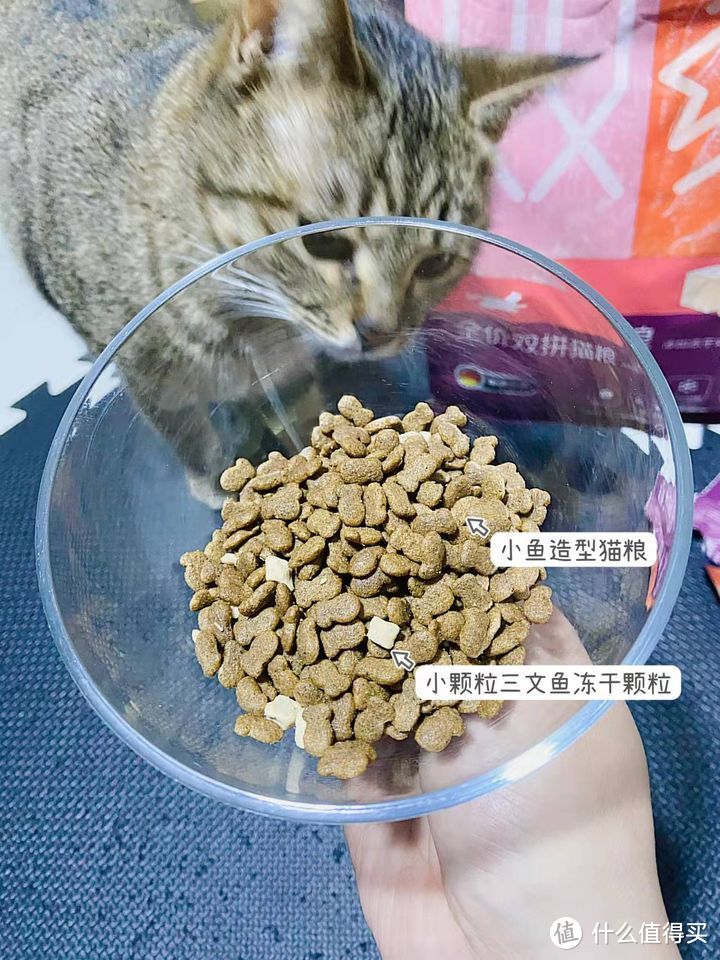 有哪些性价比高的良心猫粮推荐？