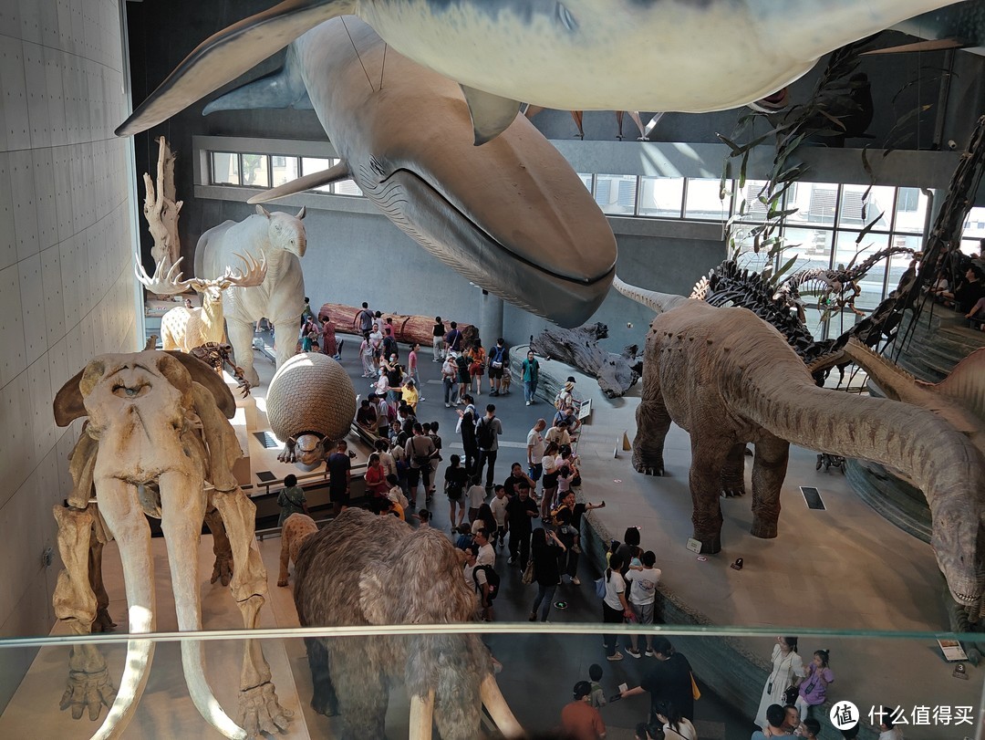 周末亲子活动之上海自然博物馆