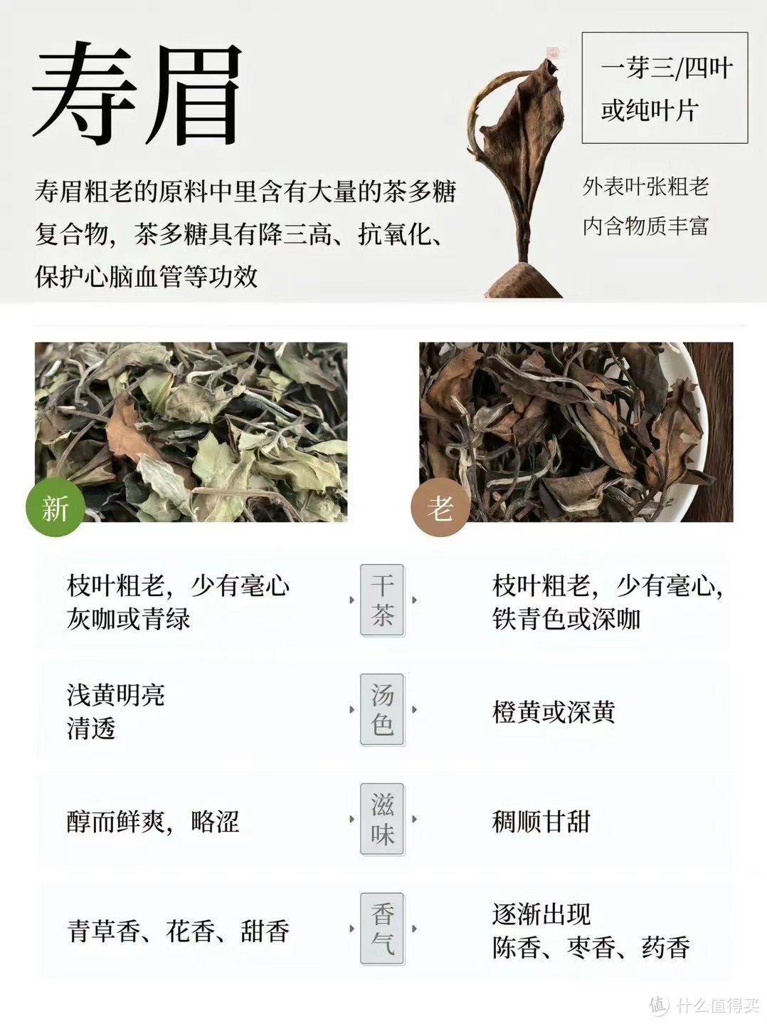 白茶茶多糖含量图片