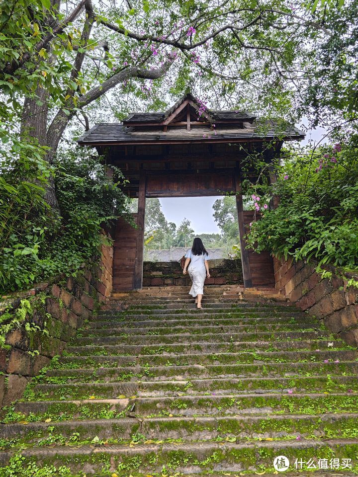 普洱景迈山古茶林文化景观成功列入《世界遗产名录》，这条小众云南旅游线路好玩吗？