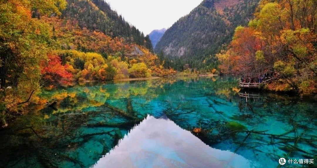 金秋九寨沟最美的季节最美的风景