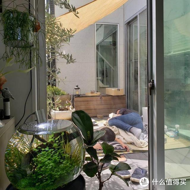 日本一女主的家，因全屋被绿植包围而走红，杂而不乱，高级感十足