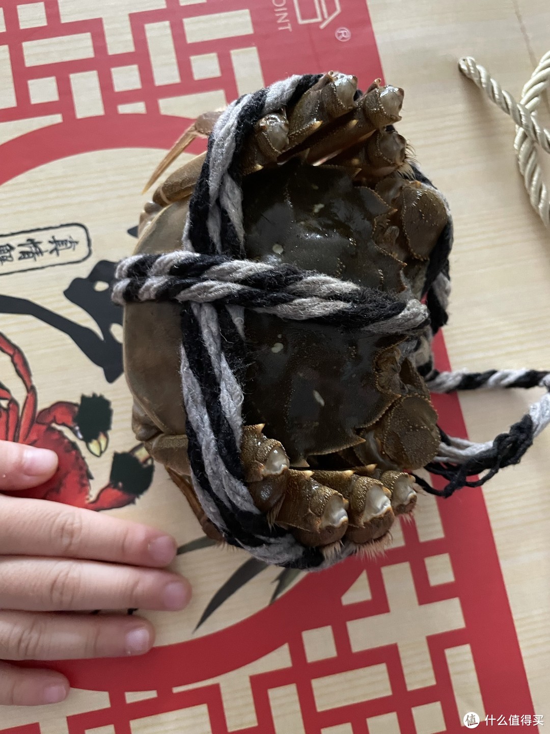 一年就吃这一次，正宗阳澄湖大闸蟹，你吃了吗？