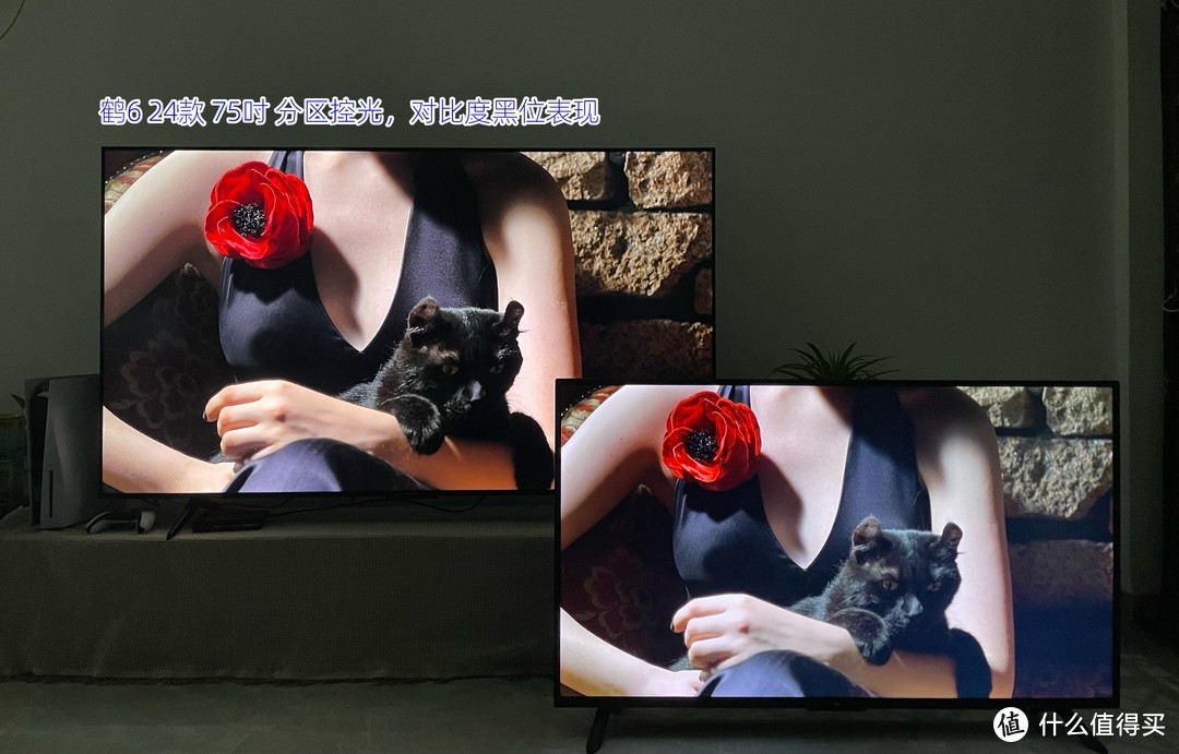 雷鸟鹤6 24款准高端电视长测评。几千元预算买75寸85吋电视，没有短板的鹤6 是不错的选择！