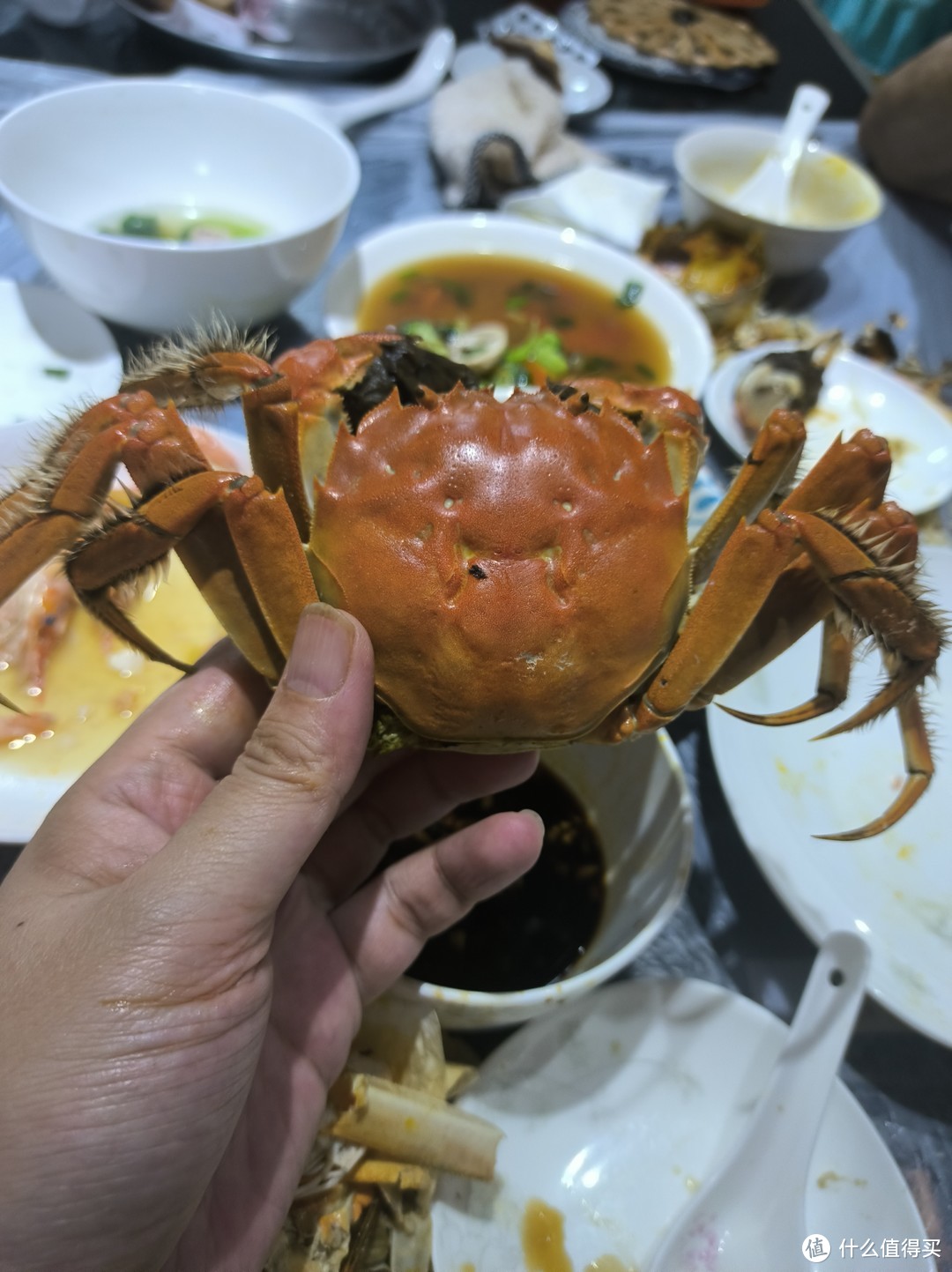 姗姗来迟的泰州湖蟹，个儿大肉鲜，味道真不错！