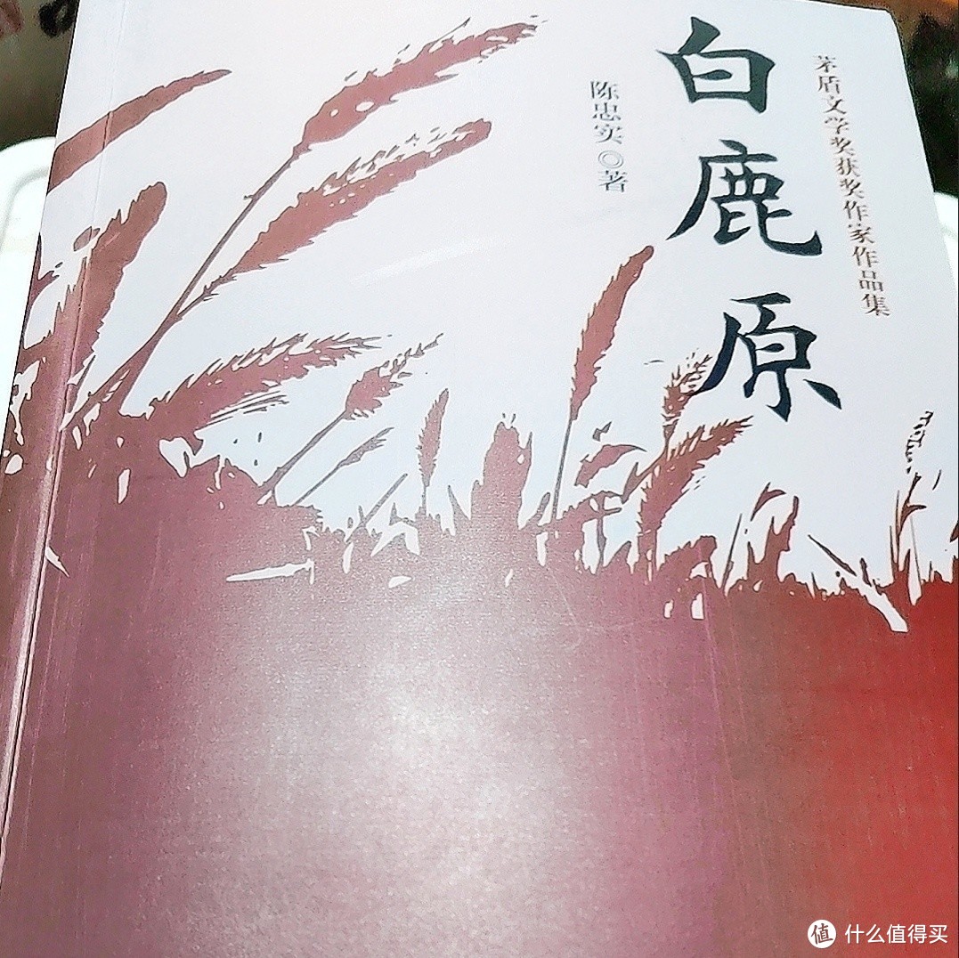 《白鹿原》：描绘中国农村社会历史的鸿篇巨著