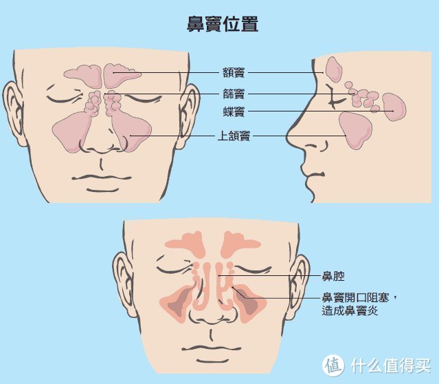 和过敏性鼻炎和平共处的第四年，这些好物我不能私藏