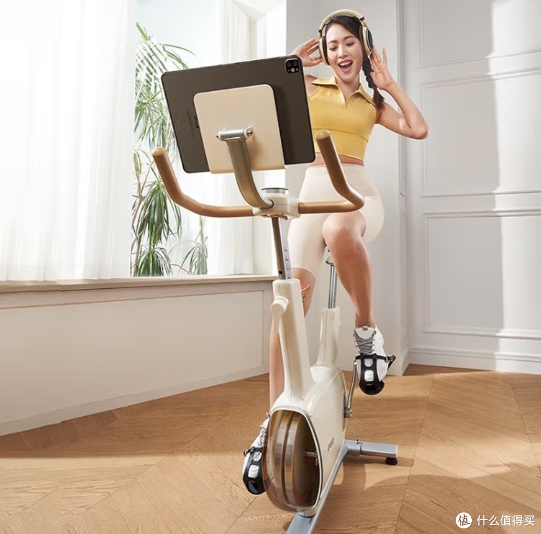 飞尔顿fed动感单车家用降噪室内磁控健身车运动自行车智能健身减肥器材 降噪款双飞轮白色