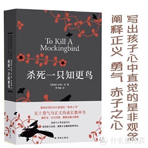 罗翔老师推荐的一本书：《杀死一只知更鸟》