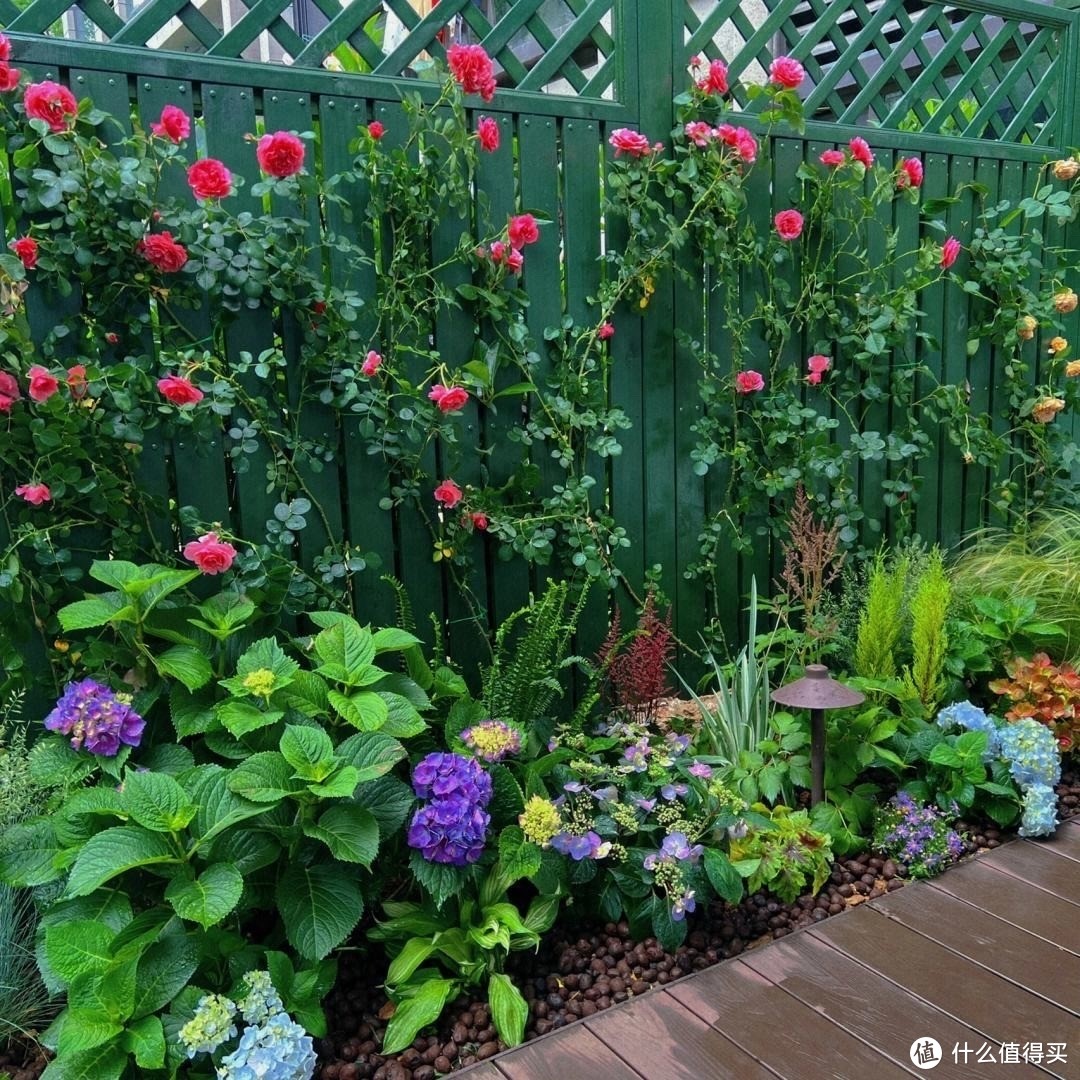 庭院里养花，就养“8种”，耐寒耐热，四季繁花似锦，美成一幅画