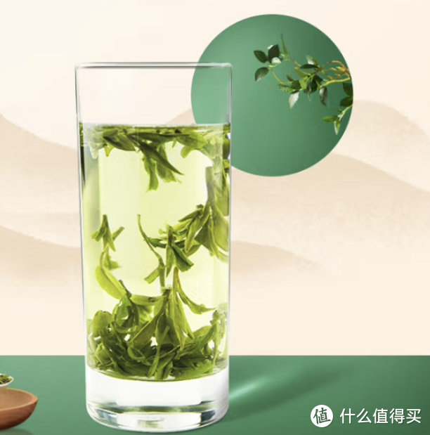 绿茶是绿色的，中国好茶绿茶选购攻略