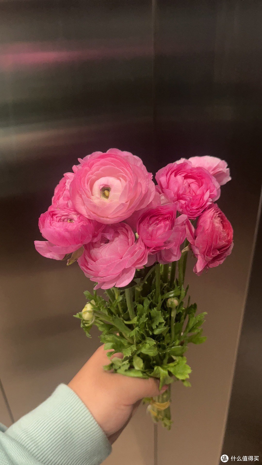鲜花分享：最美的花送给你