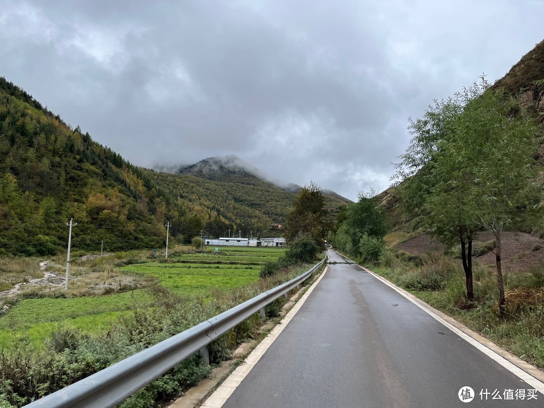 随着道路不断深入山区，植被愈加丰富