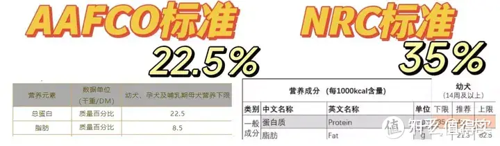 狗狗也要抗初老？！泪痕、超重、关节疼，注意这些狗狗衰老信号！