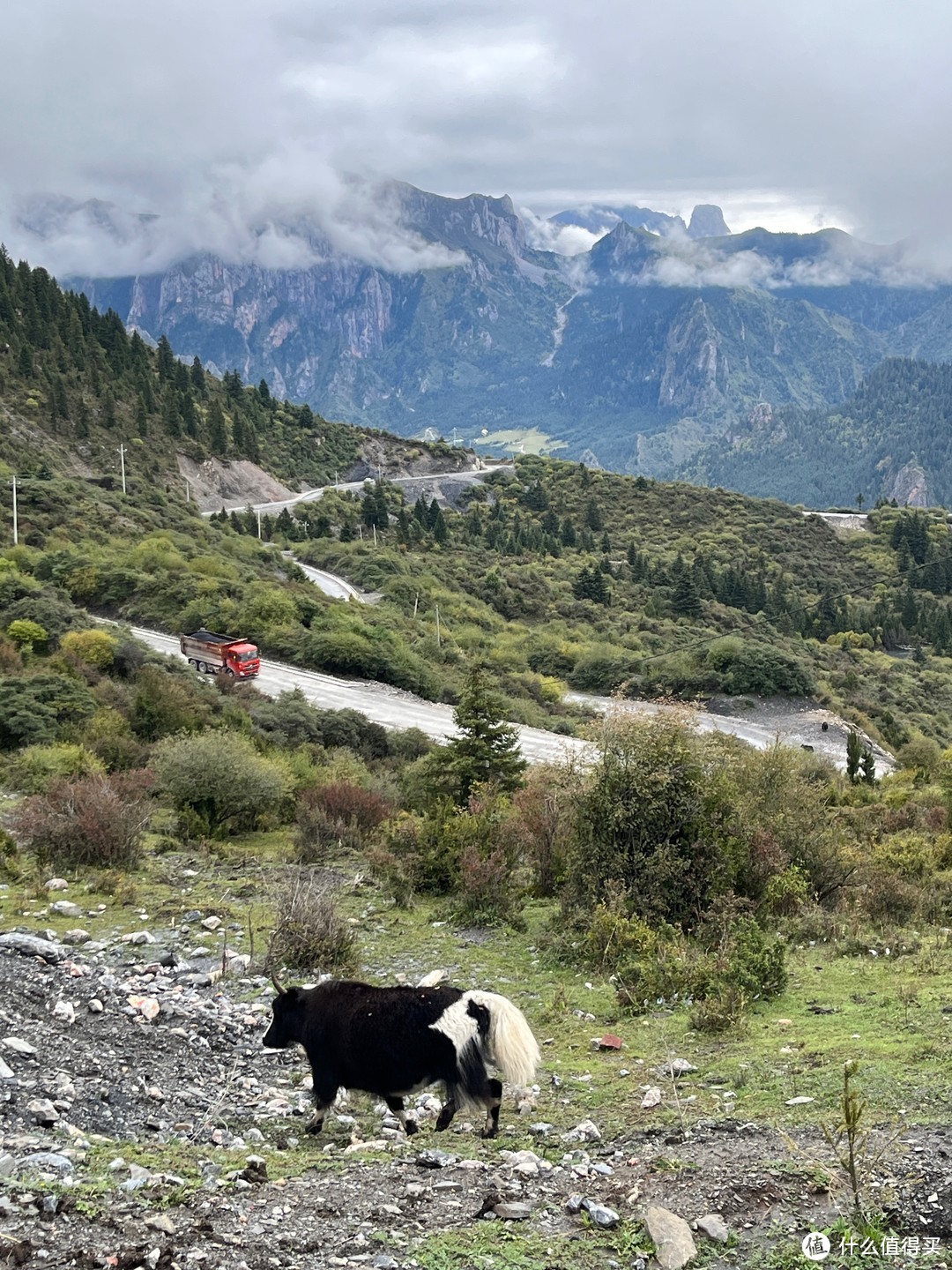 骑行穿越洛克之路，10天爬升15000米从甘南到川西