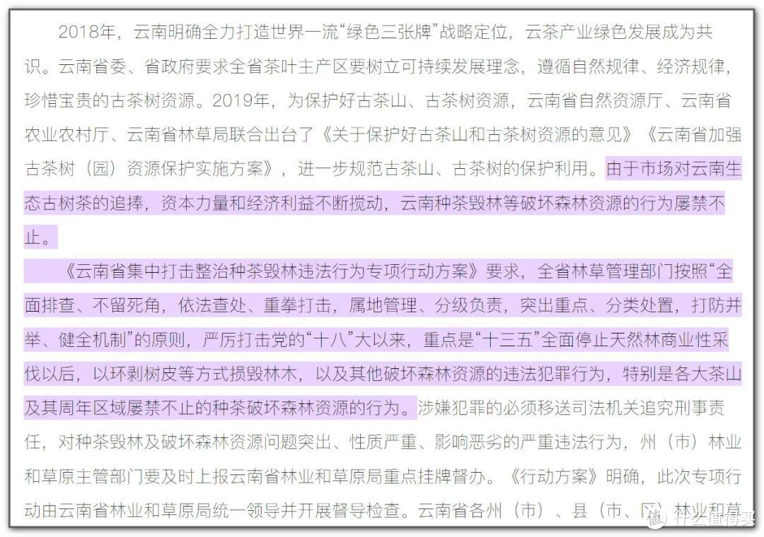 （云南省已经在2018年开始启动多项惩治毁林种茶违法行为的专项行动）