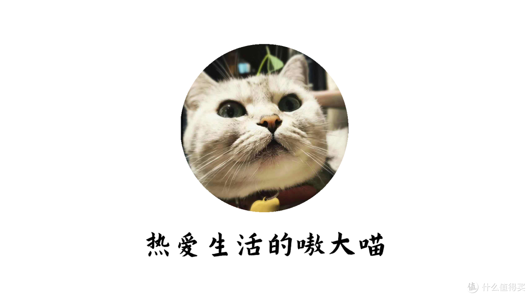 威联通TS-464C2新手NAS入门搭建攻略,看完就会用,不踩坑