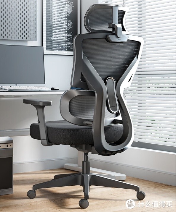 黑白调（Hbada）P5双背款 人体工学椅 - 提升办公、生活品质的理想选择