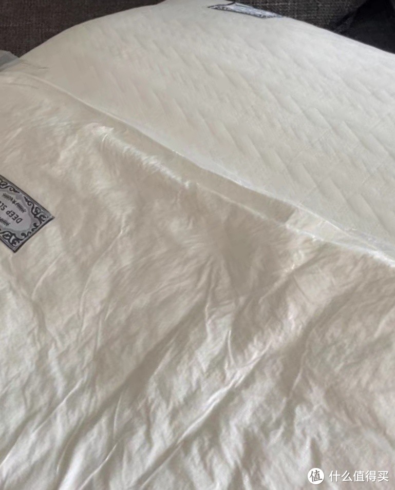 一对装枕头枕芯带枕套五星级酒店护颈椎单人男整头枕家用女宿舍枕
