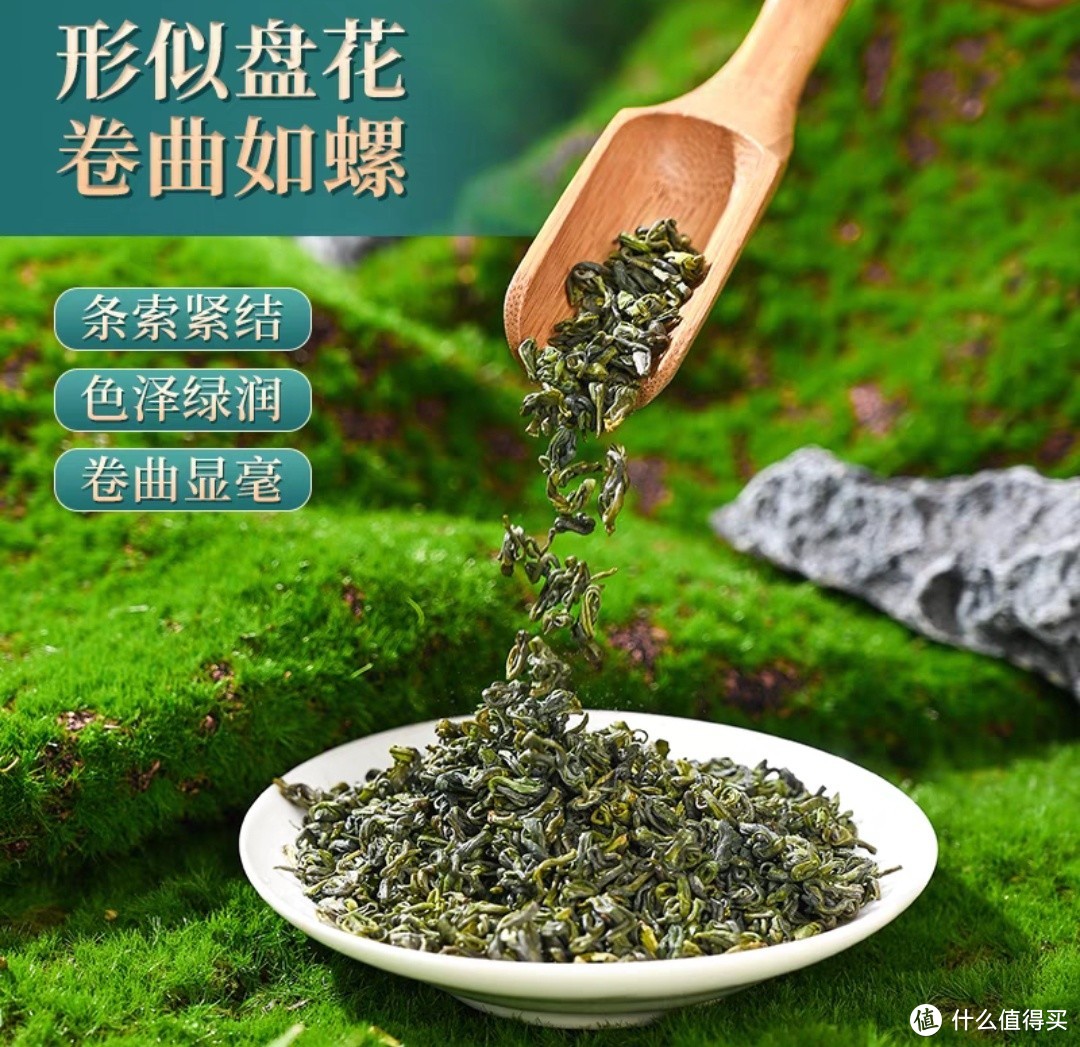 现代绿茶之祖