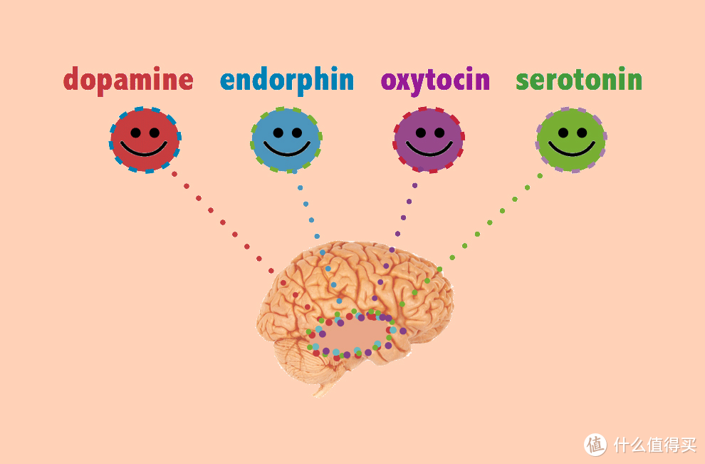 那些能让你高兴的化学物质，从左到右依次为：多巴胺、内啡肽、催产素、血清素。图/the.ismaili