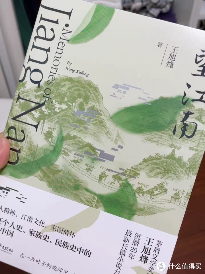 《望江南》：一部深情描绘茶香与家国情怀的小说
