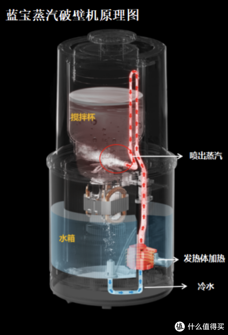 噱头还是实力？蓝宝蒸汽破壁机凭什么脱颖而出？