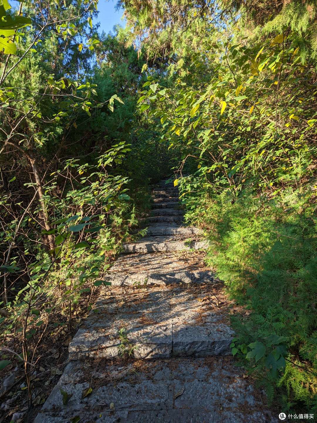 徐州龙腰山之环翠阁与望湖亭