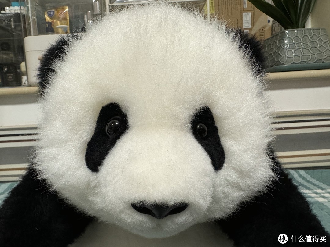 北京动物园看熊猫