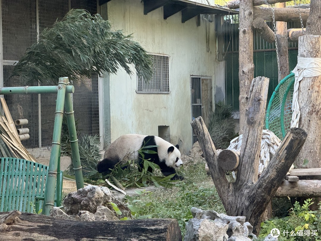 北京萍乡动物园图片