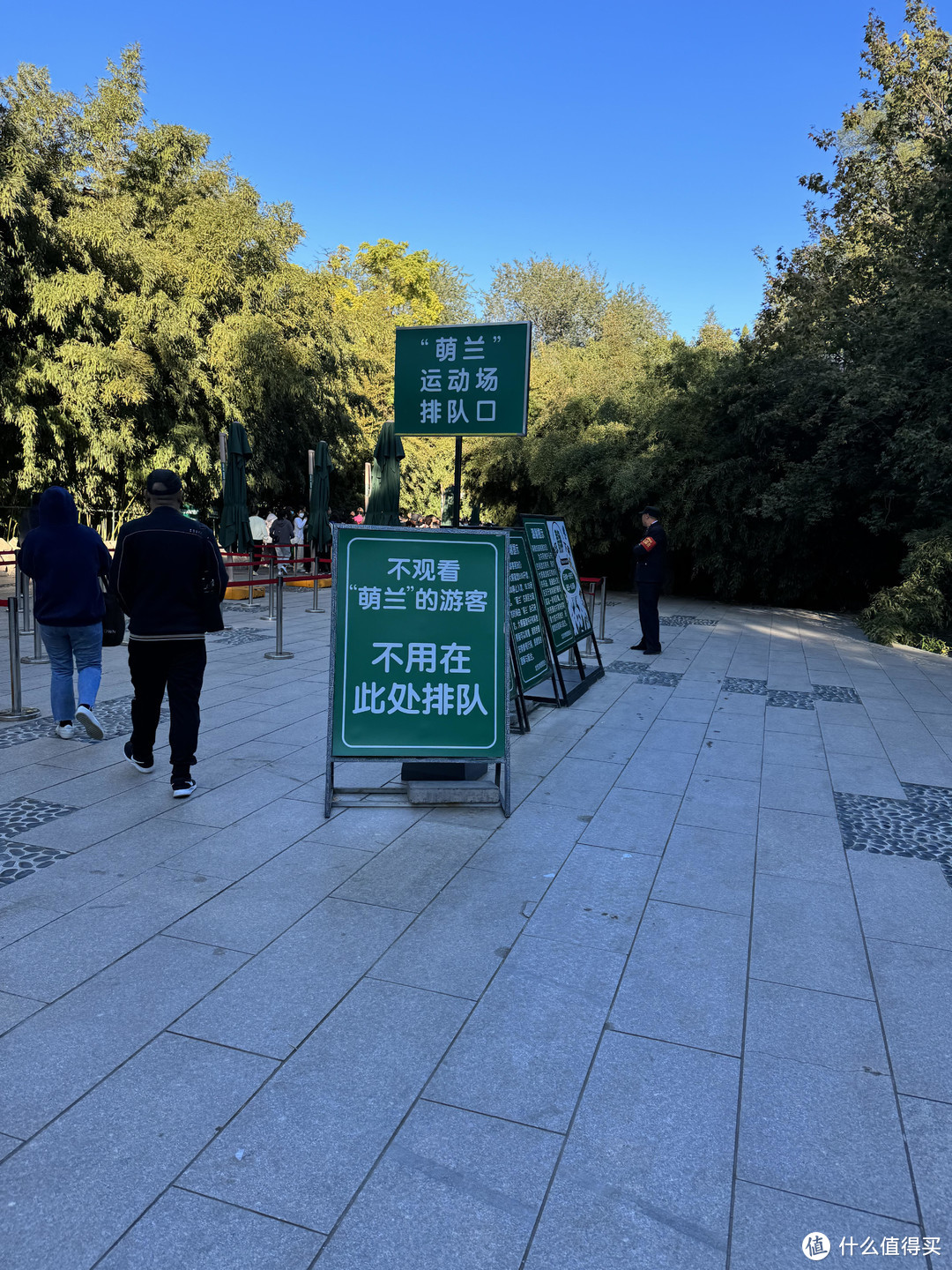 北京动物园看熊猫