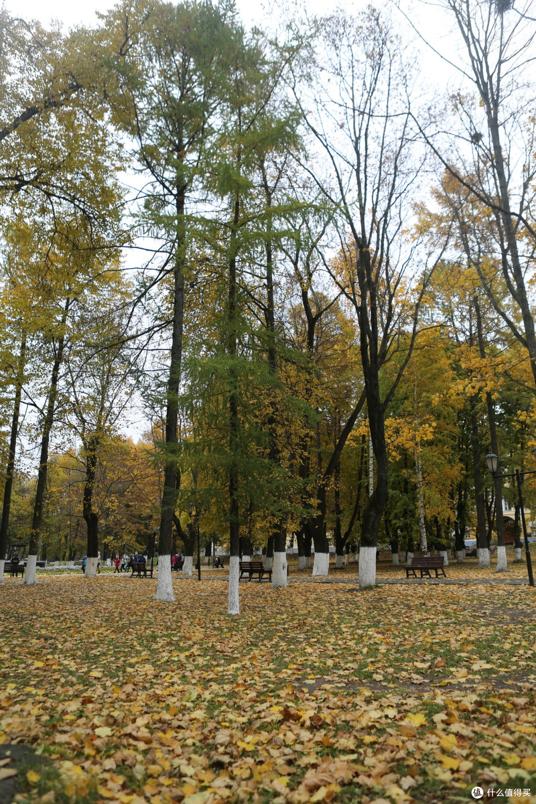 弗拉基米尔——俄罗斯最美秋色