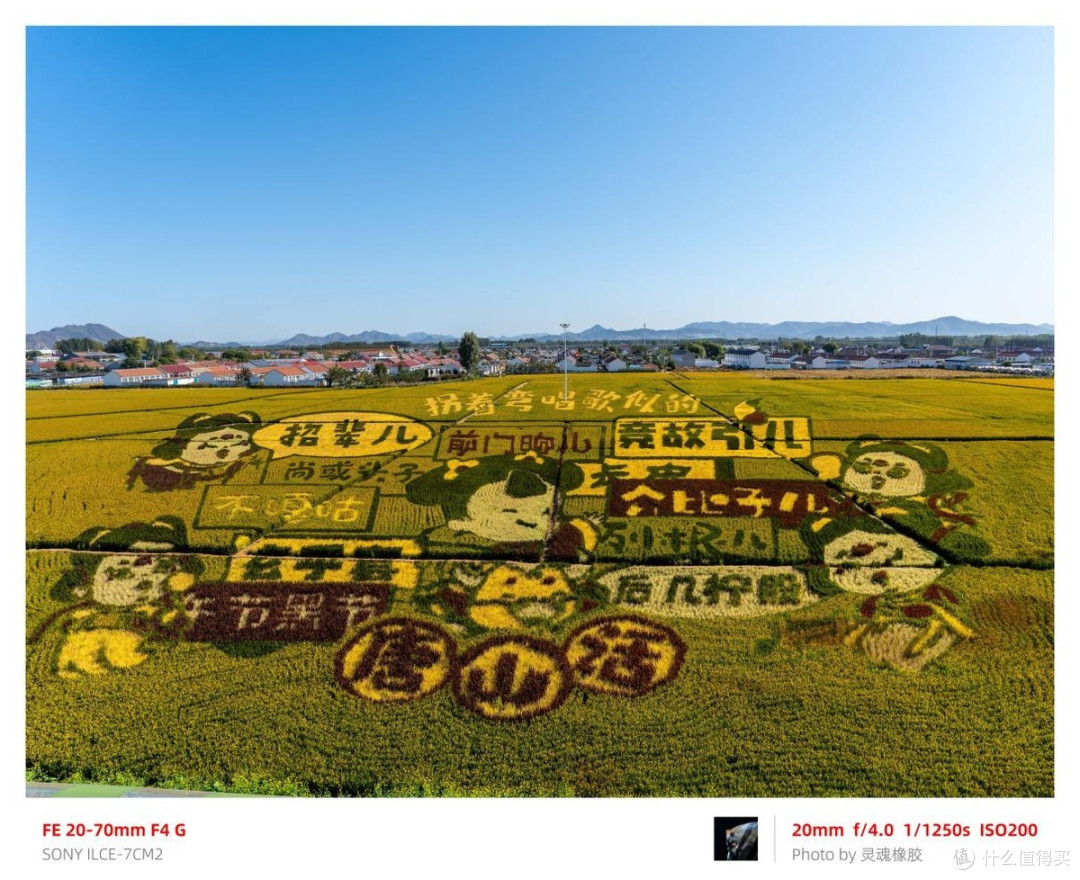 索尼全画幅机身安排好了，镜头怎么选？新入坑的摄影爱好者双十一买它准错不了