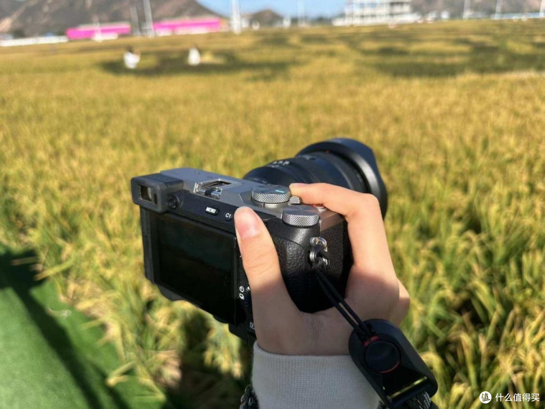 索尼全画幅机身安排好了，镜头怎么选？新入坑的摄影爱好者双十一买它准错不了