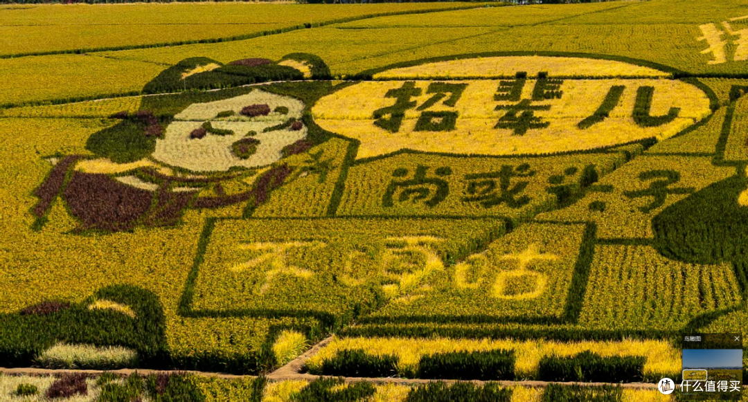 索尼全画幅机身安排好了，镜头怎么选？新入坑的摄影爱好者双十一买它准错不了