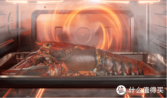 手把手教你选微蒸烤箱！一招教你入手“最值得”的微蒸烤箱！