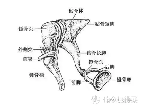 讲一讲助听器吧！