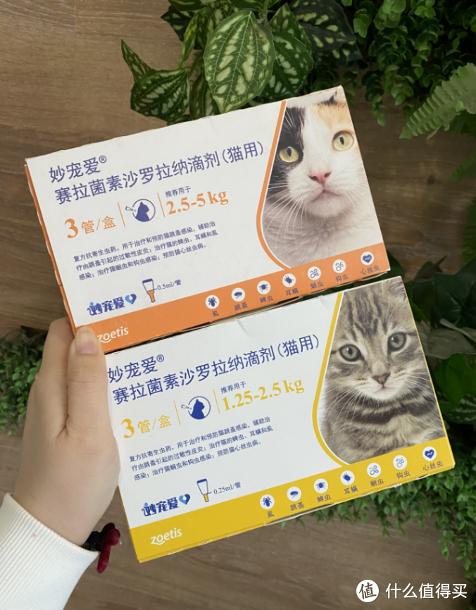 宠物猫驱虫药哪种好？给你多猫家庭经验贴