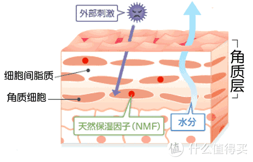 【必买】皮肤吸收不好？用这个让你的护肤品更高效!