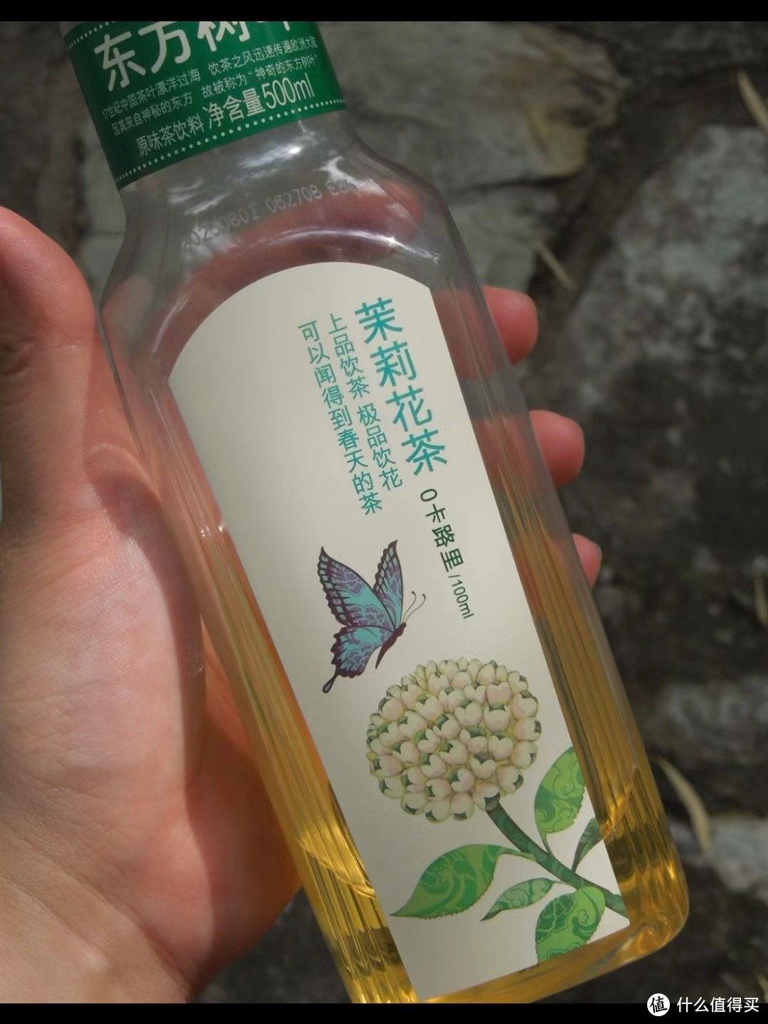 秋季饮品，最爱的东方树叶茉莉花茶