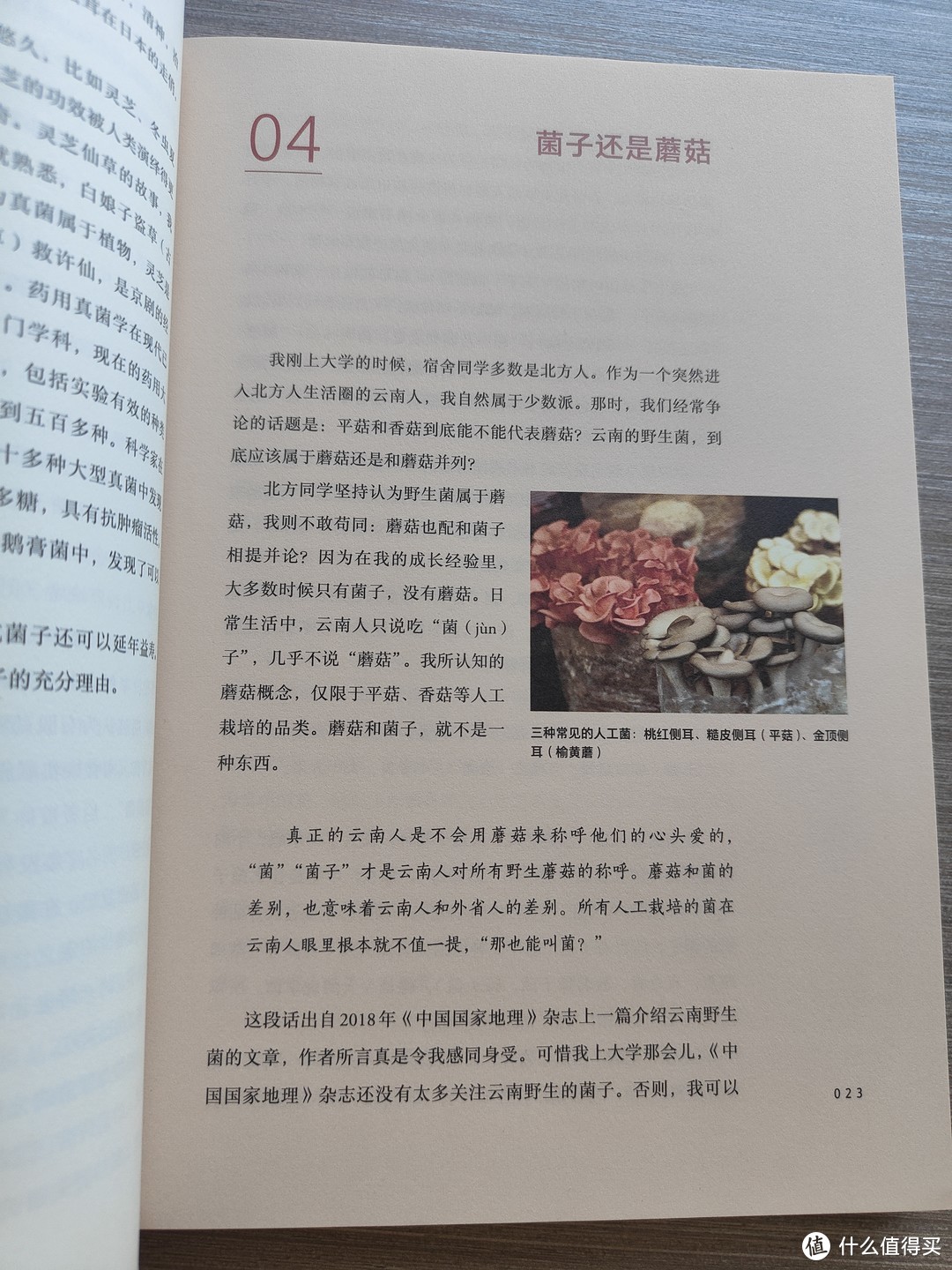 红伞伞，白杆杆，吃完一起躺板板，刻在云南人DNA中的《食菌记》